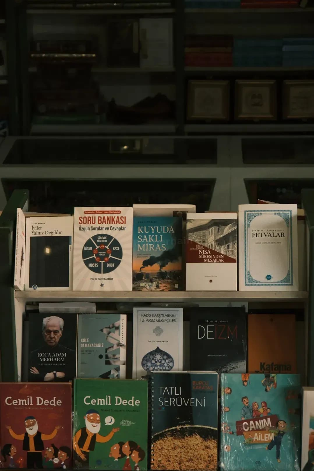 Bücherhain 2